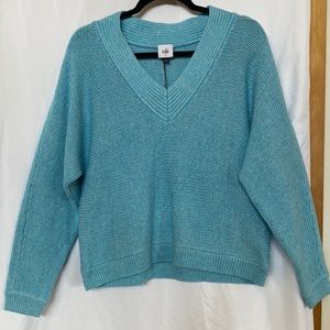 Long sleeved blue V-neck sweater